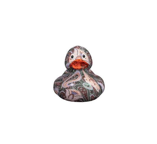 Art Duck 5
