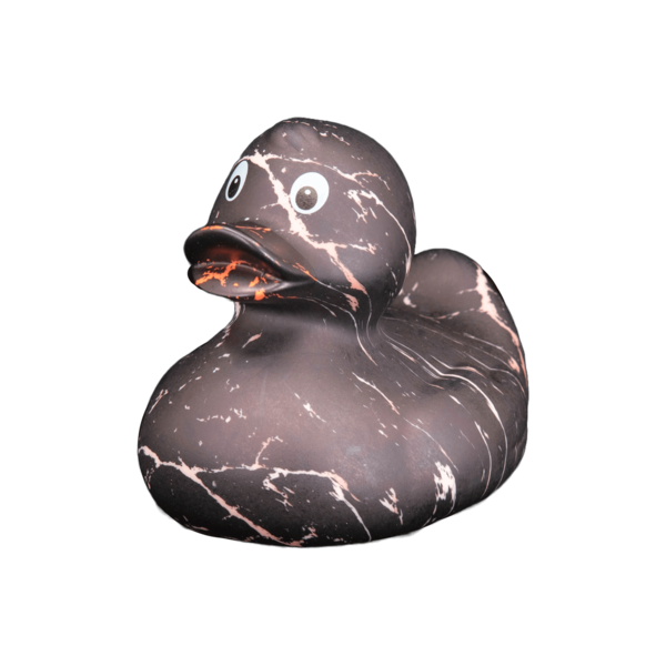 Art Duck 10