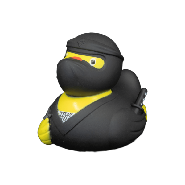 Ninja dwl 2111