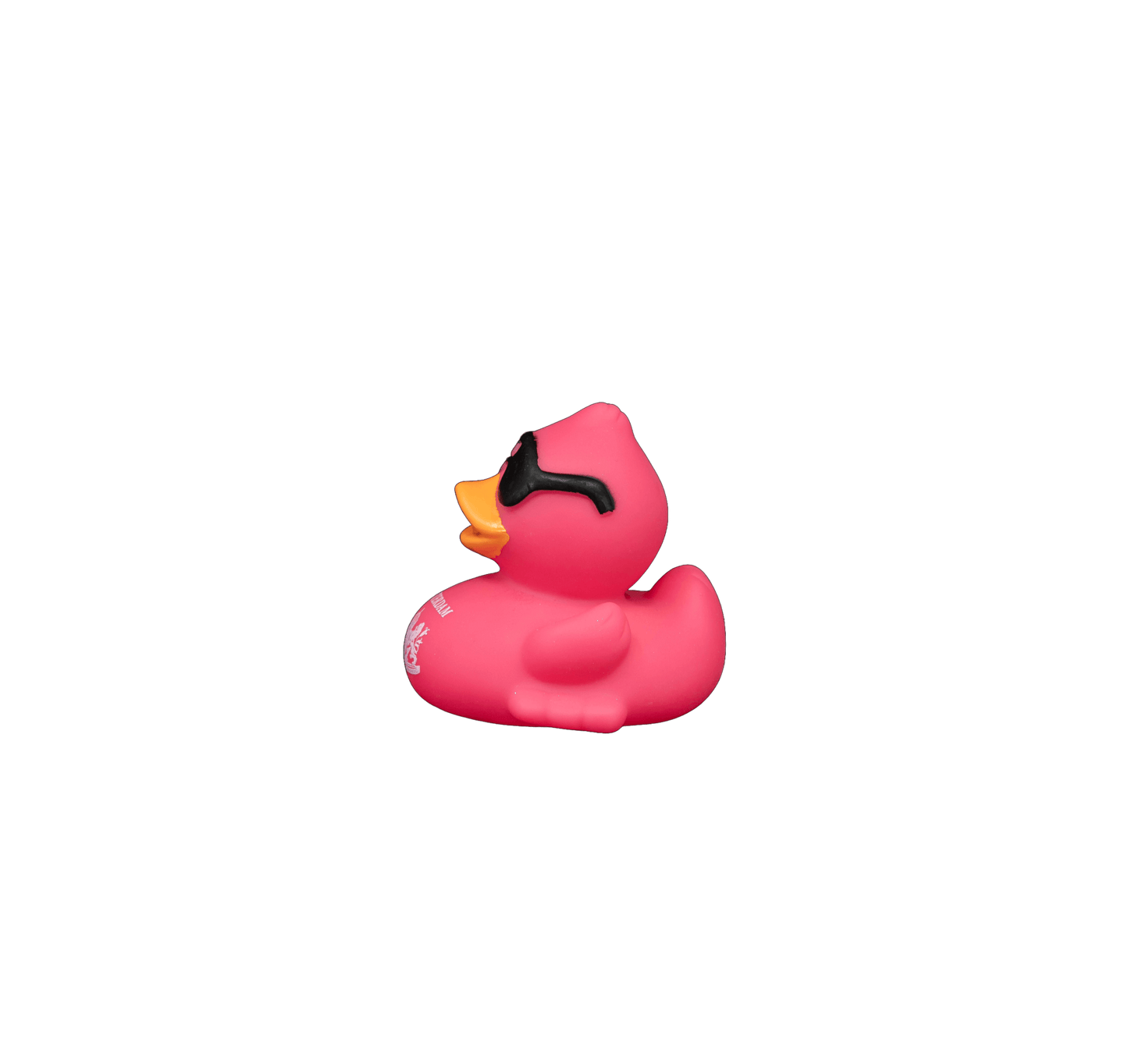 Race Duck Amsterdam Pink dwl 2081