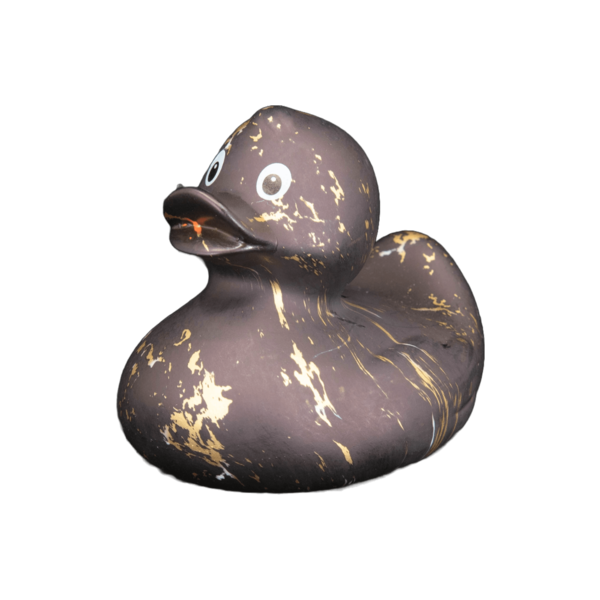 Art Duck 14