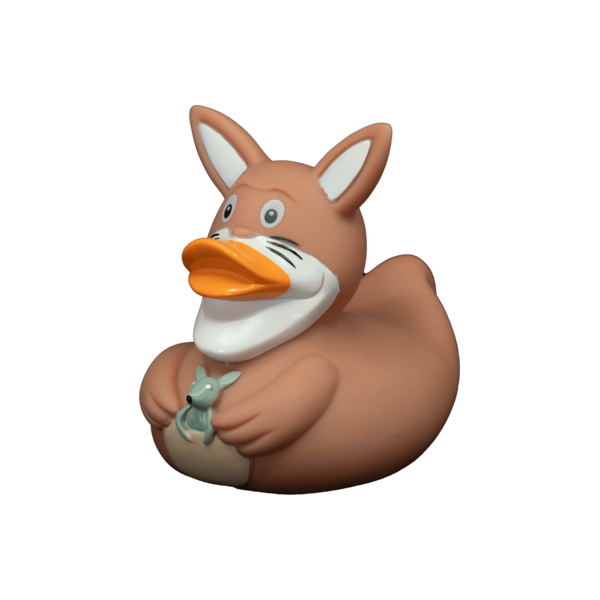 Kangaroo Brown dwl 2022