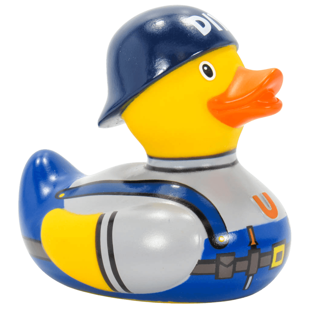 DIY Duck. 1418