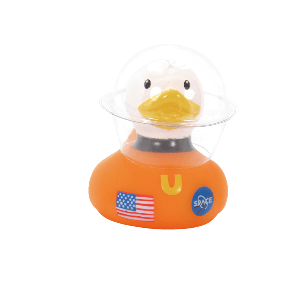 Mini Space Duck. 1441