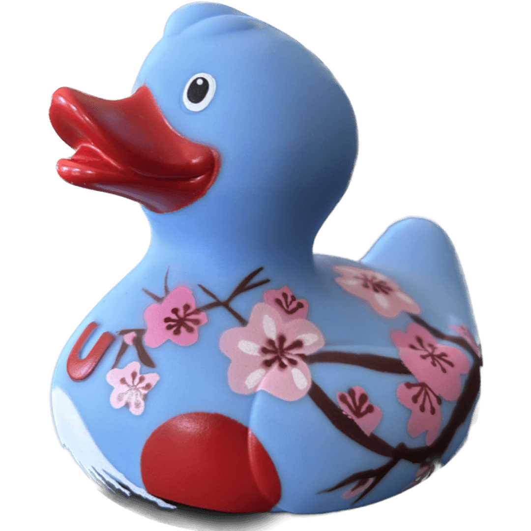 Cherry Blossom Duck  1518