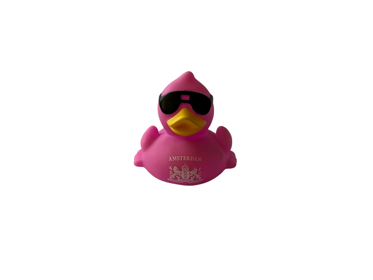 Race Duck Amsterdam purple dwl 2014