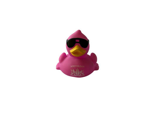 Race Duck Amsterdam purple dwl 2014