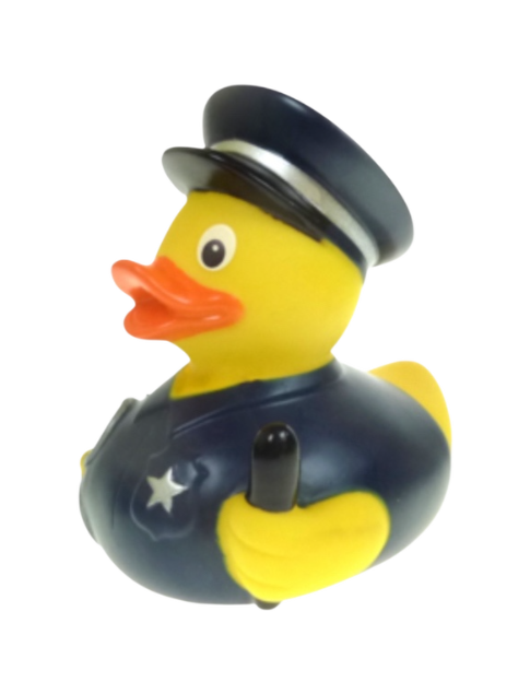 Police arest 042-n