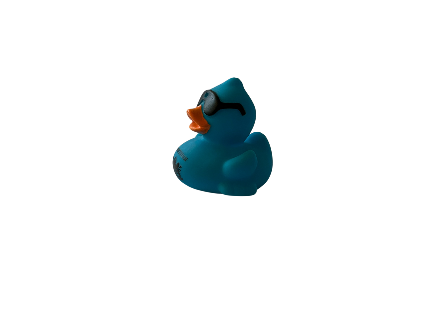 Race Duck Amsterdam blue dwl2015