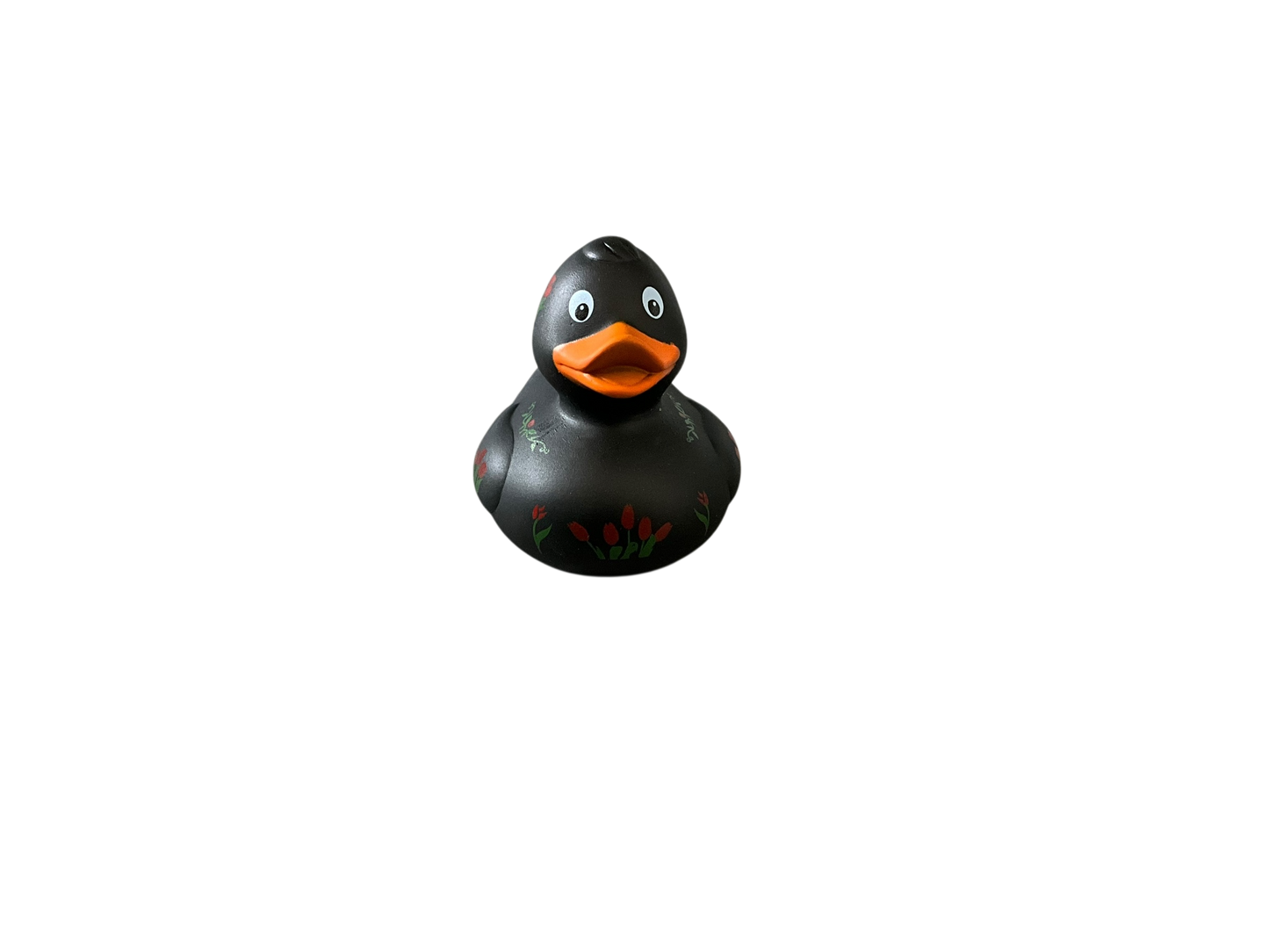 Tulip black dwl 2001