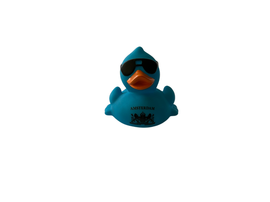 Race Duck Amsterdam blue dwl2015