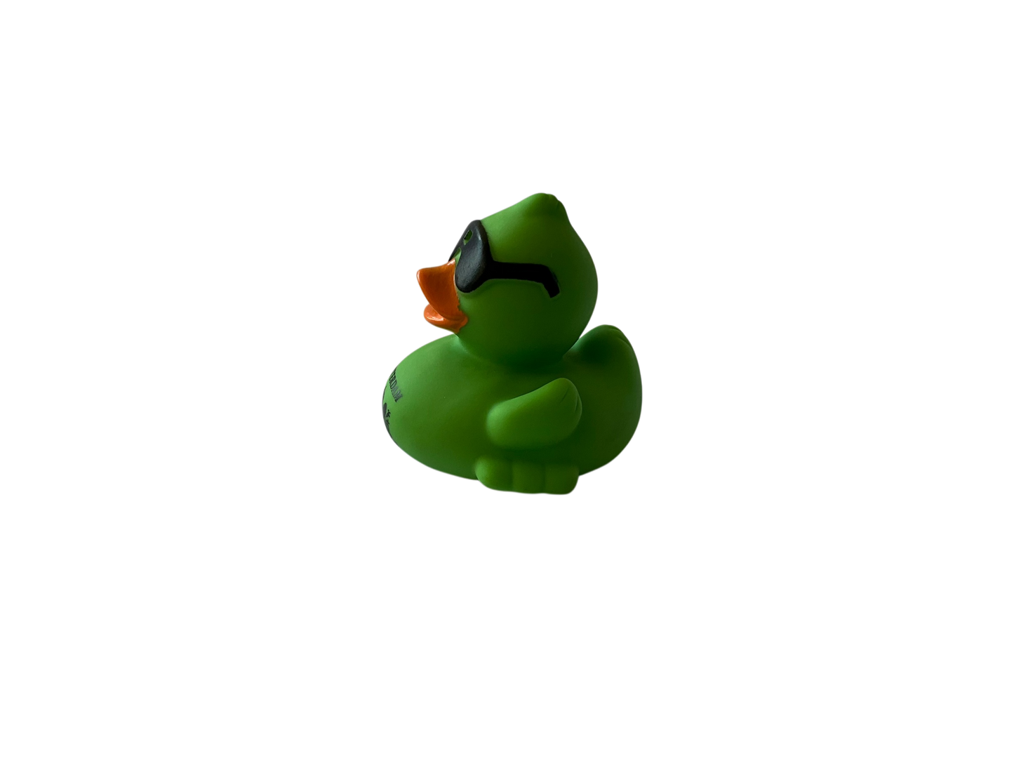 Race Duck Amsterdam green dwl 2016