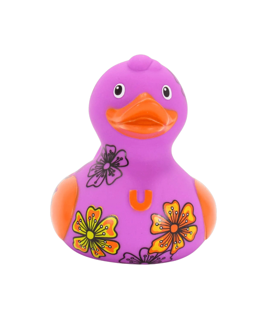 Friendship Duck. 1508