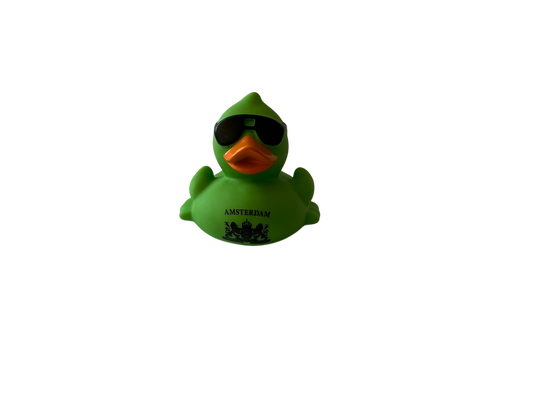 Race Duck Amsterdam green dwl 2016