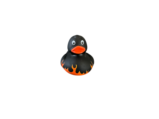 Harvey Firestone dwl 2005