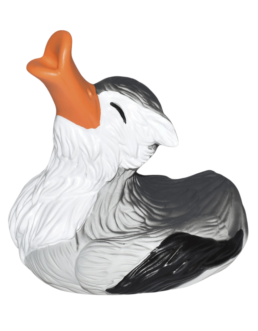 Wolf Duck. 24353