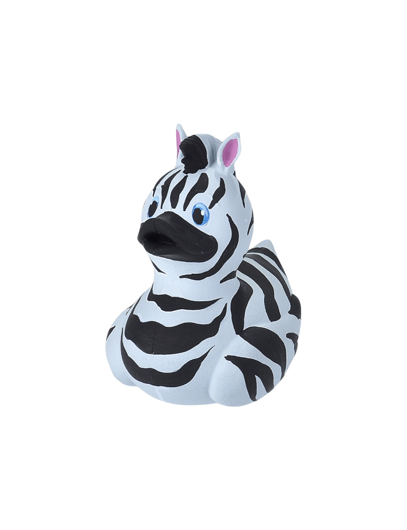 Zebra Duck  23205