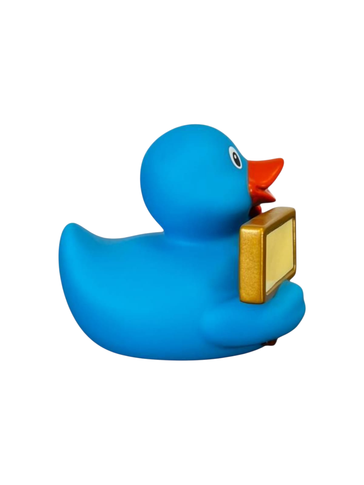 Signduck Blue