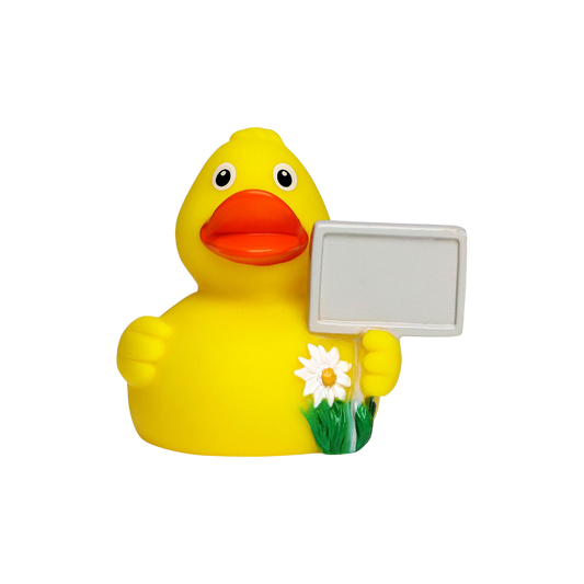 Sign Duck M131126