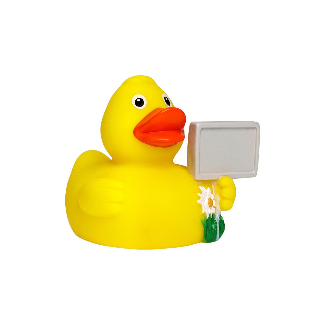 Sign Duck M131126