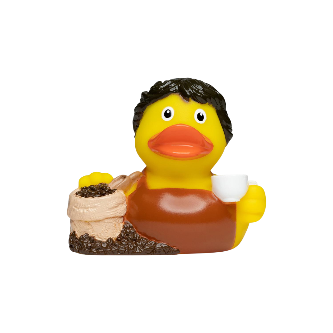 Barack Barista M131277