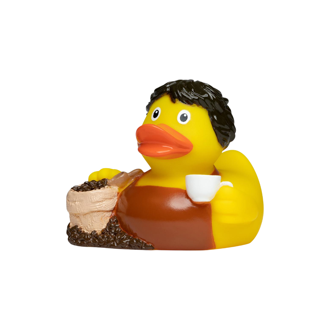 Barack Barista M131277