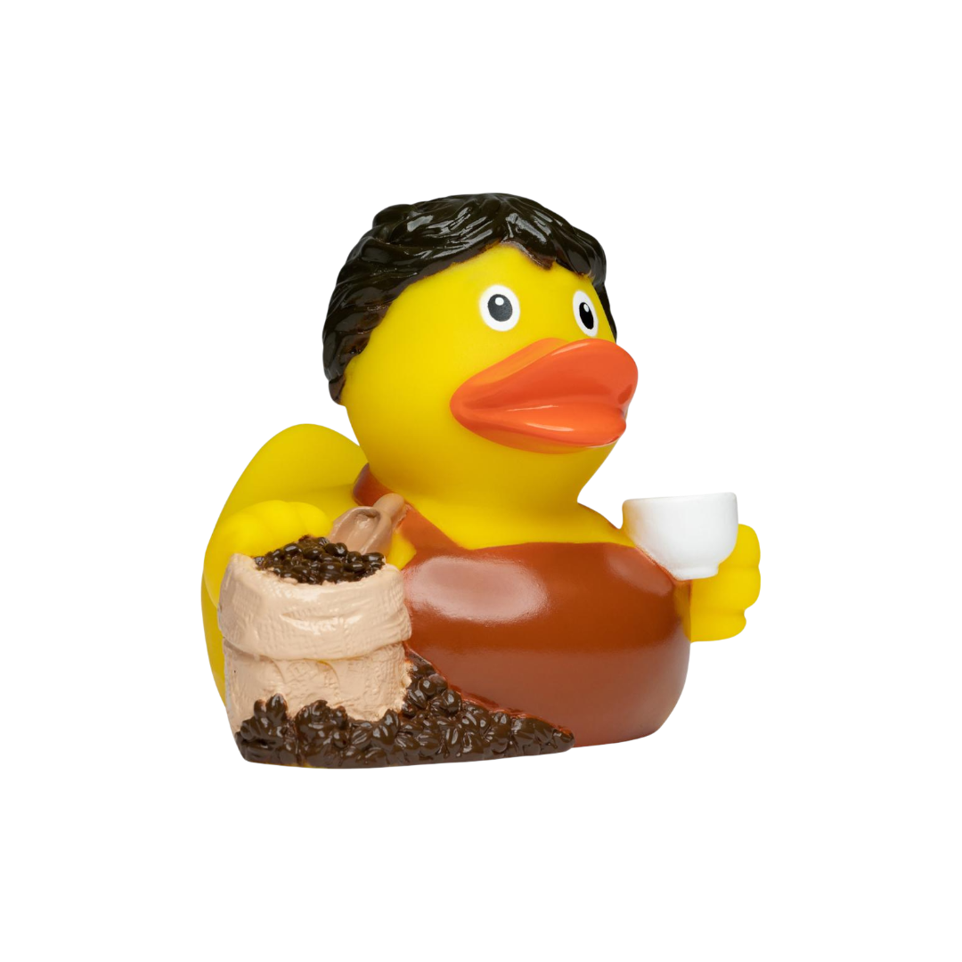 Barack Barista M131277