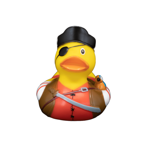Pirate Parrot dwl 2120