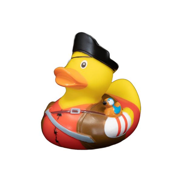 Pirate Parrot dwl 2120