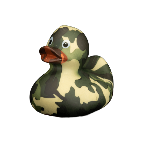 Art Duck 6