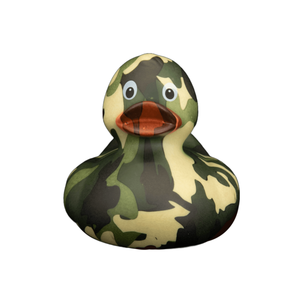 Art Duck 6