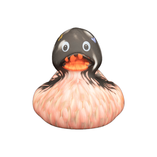 Art Duck 8