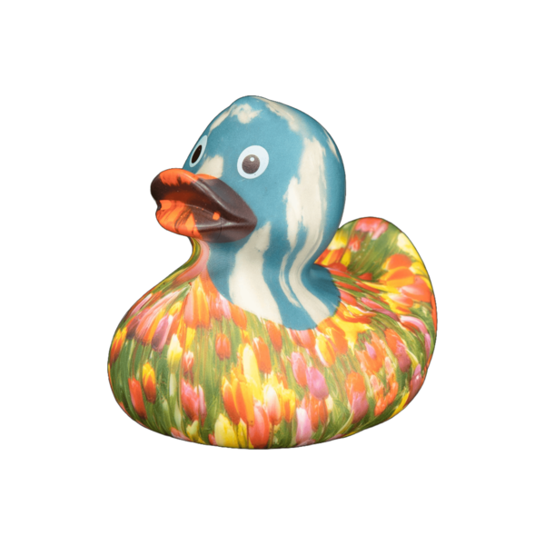 Art Duck 9