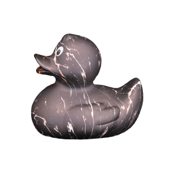 Art Duck 10