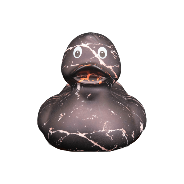Art Duck 10
