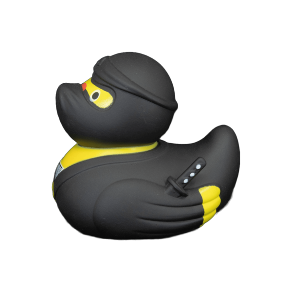 Ninja dwl 2111