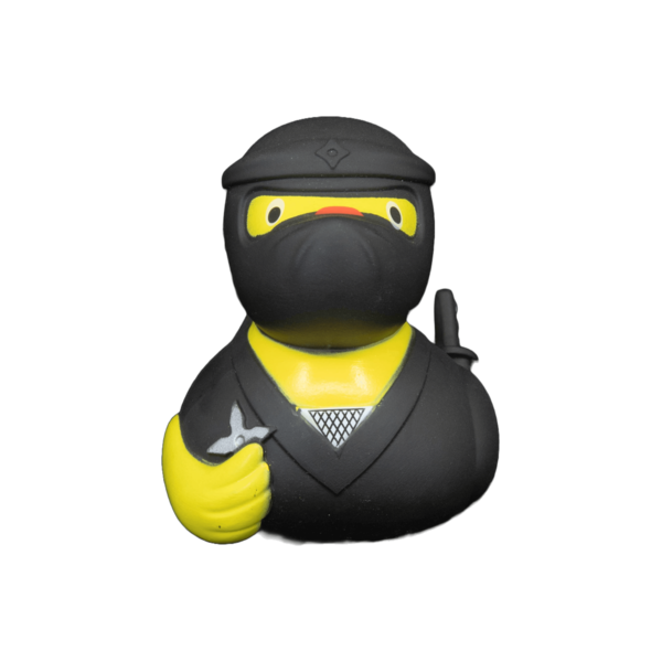 Ninja dwl 2111