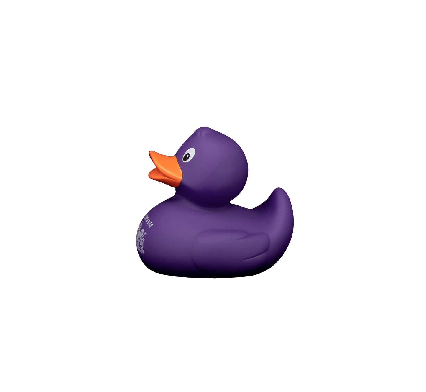 Amsterdam Purple dwl 2102