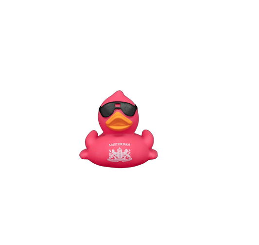 Race Duck Amsterdam Pink dwl 2081