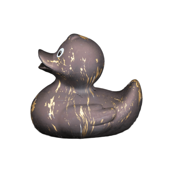 Art Duck 14