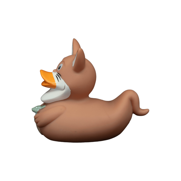 Kangaroo Brown dwl 2022