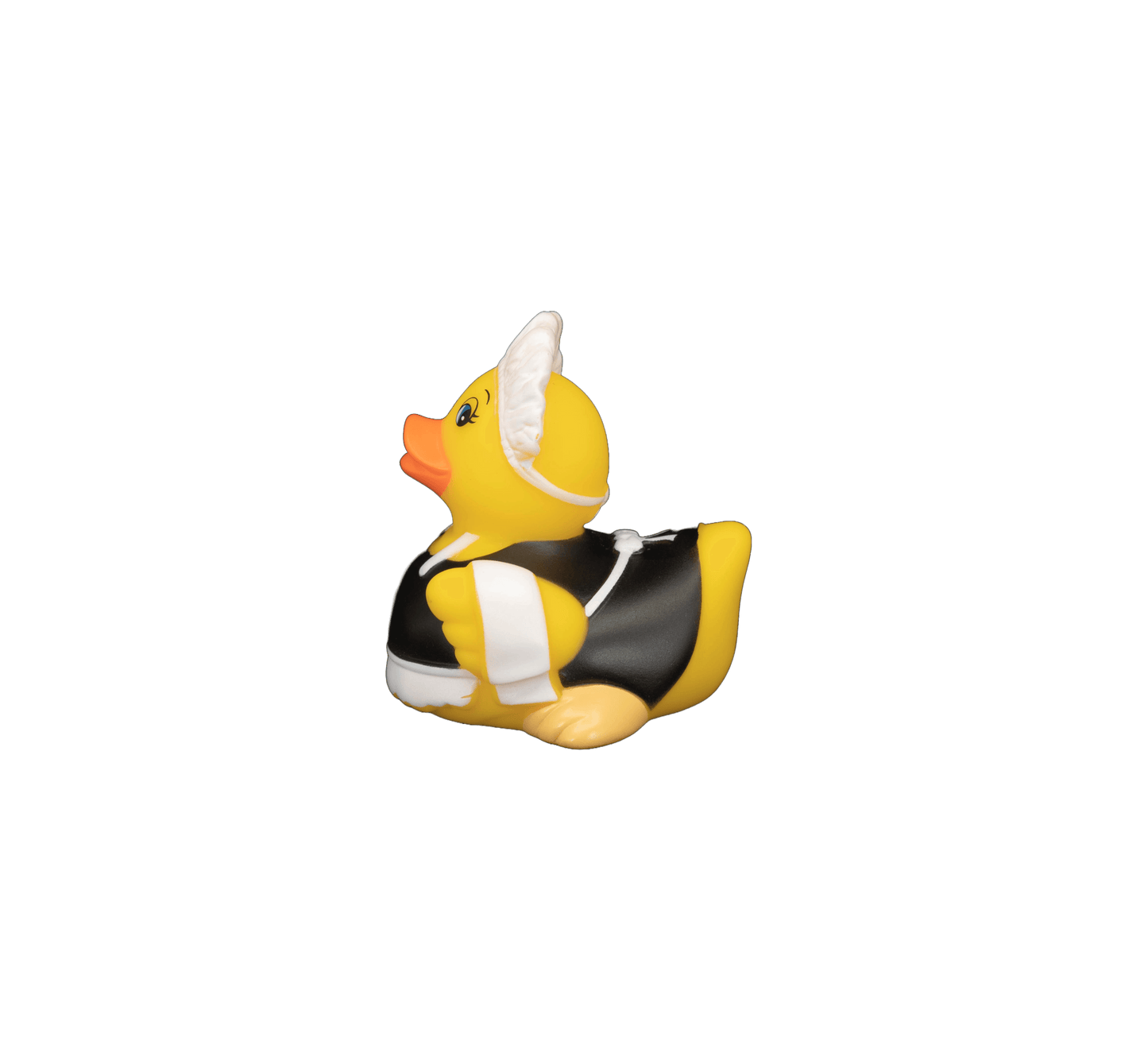 Cleaninglady dwl 2029