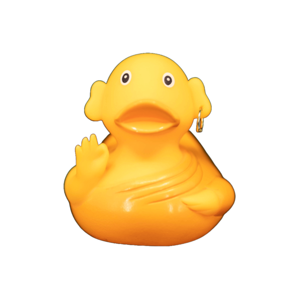 Monk dwl 2023