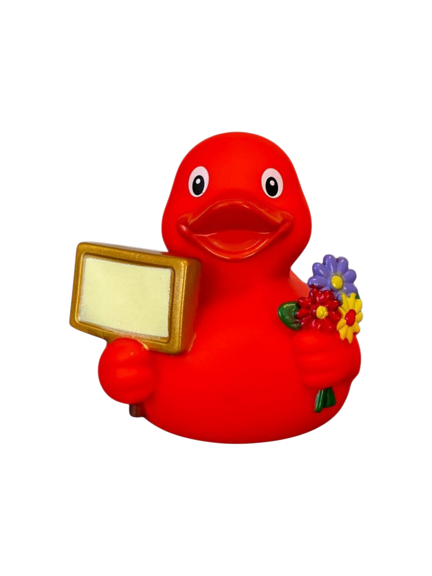 Signduck Orange