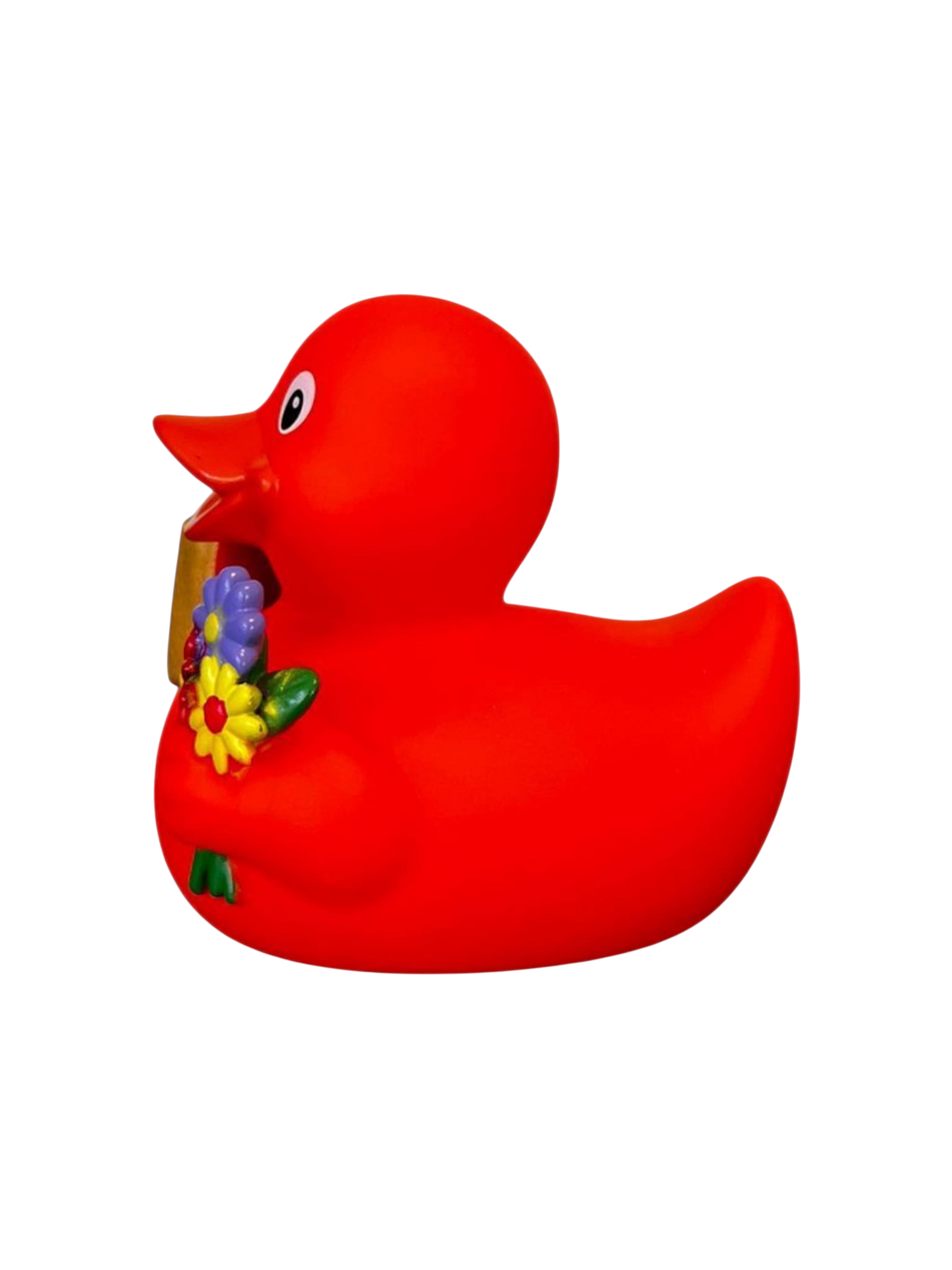 Signduck Orange