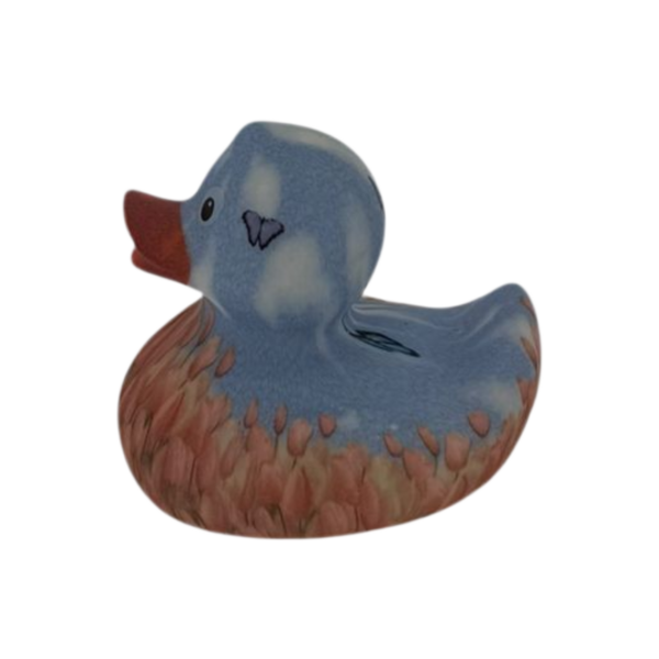 Art Duck 22