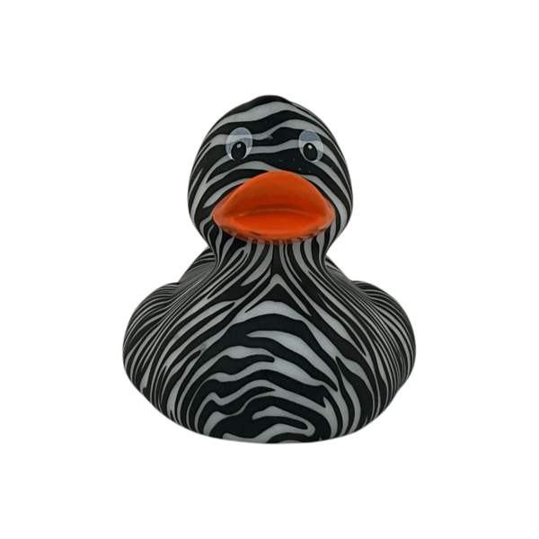 Art Zebra art 21