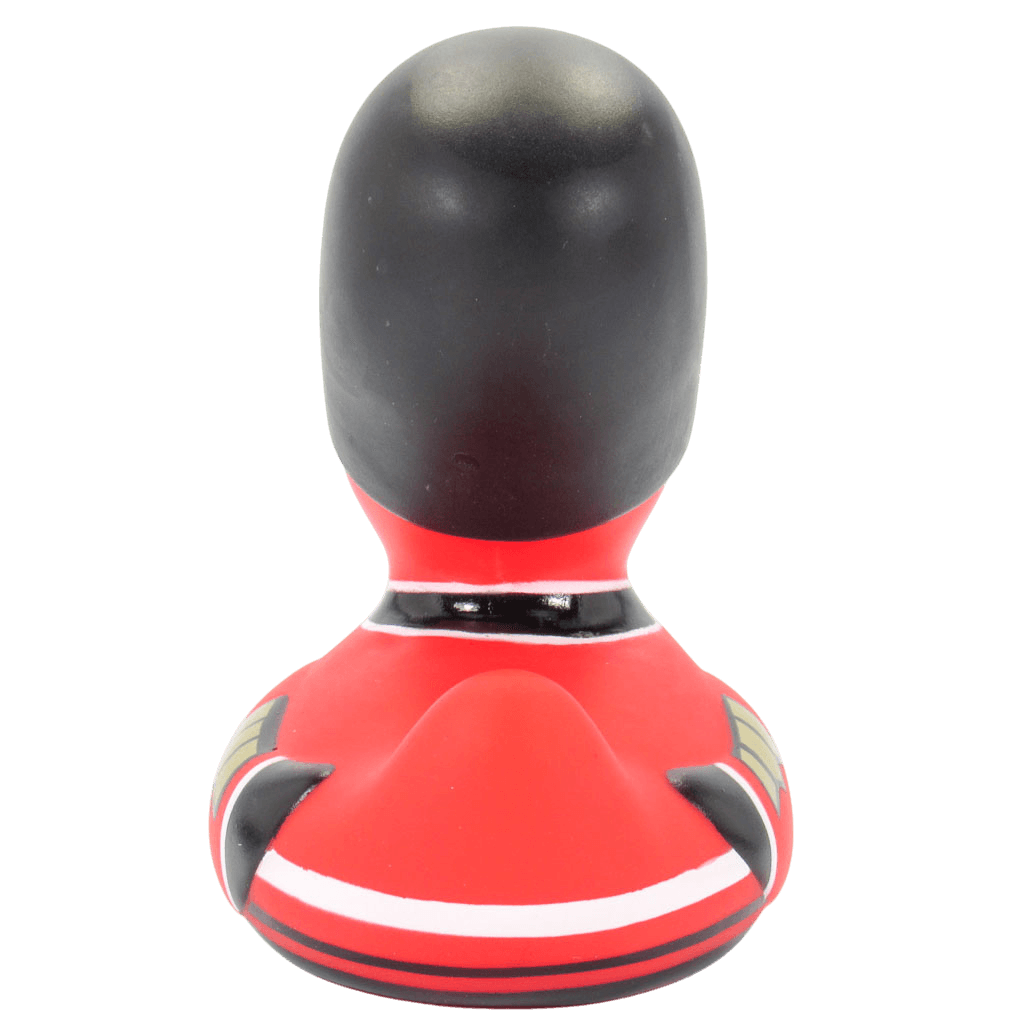 Royal Guard Duck 0877