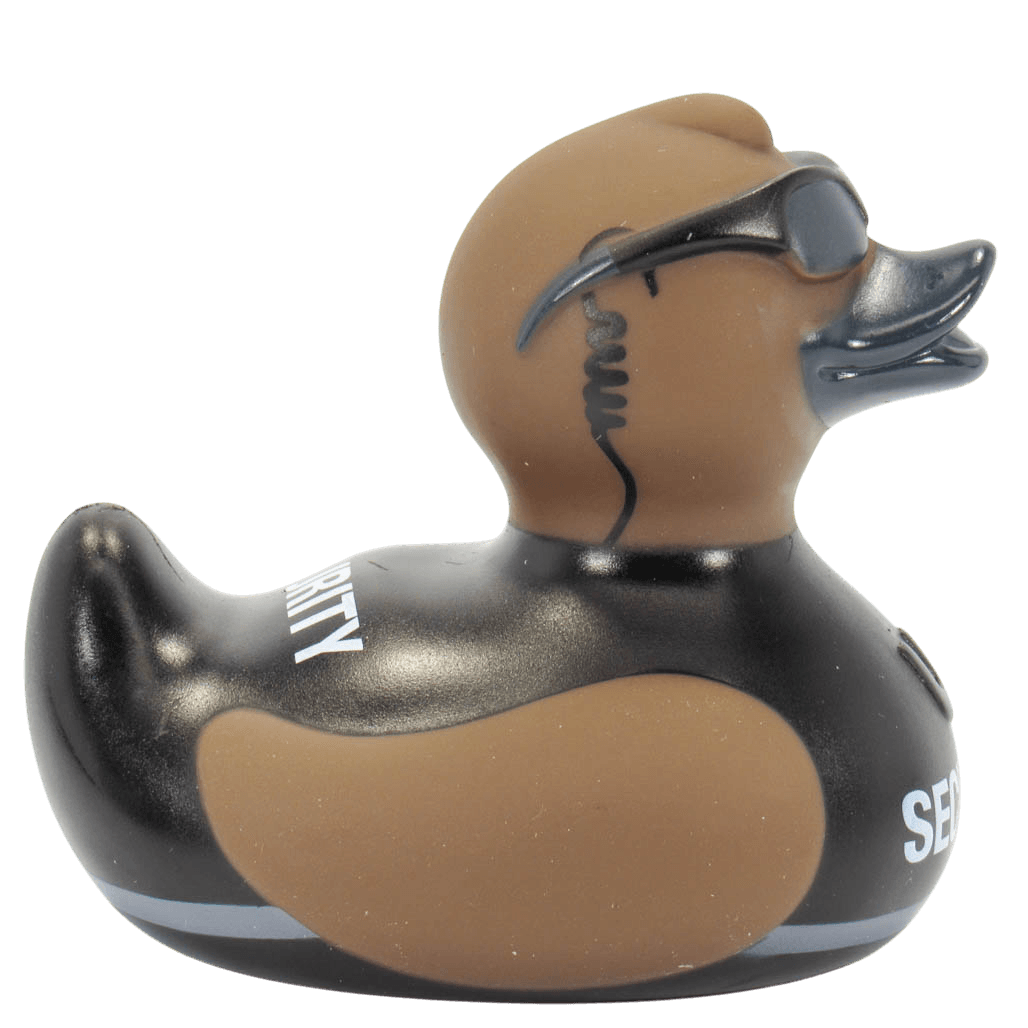Security Duck. 1079