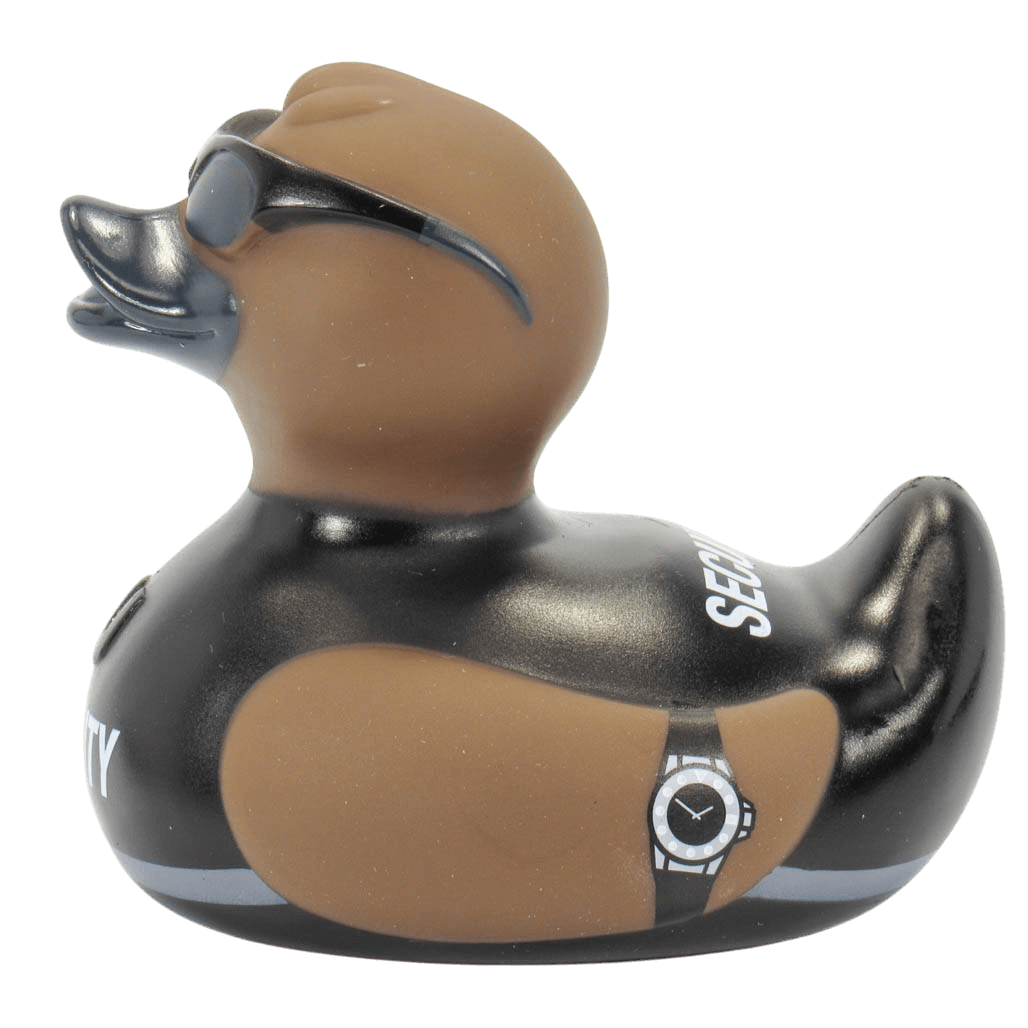 Security Duck. 1079